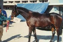 ���Ϳ츮 (NAWA URI) ����