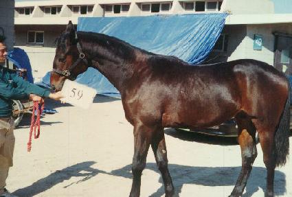 ���Ϳ츮 ����