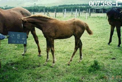 ū���ڸ� ����