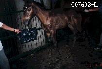 �������ڸ� ����