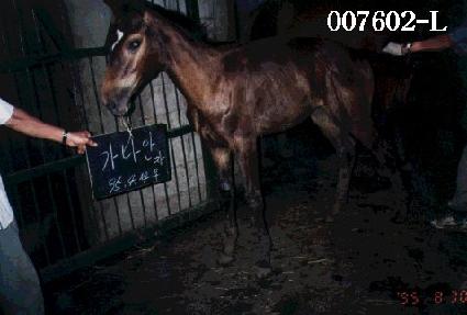 �������ڸ� ����