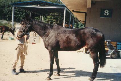 ���� ����