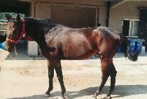 û���� (CH��EONGNYANGSAN) ����