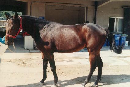 û���� ����