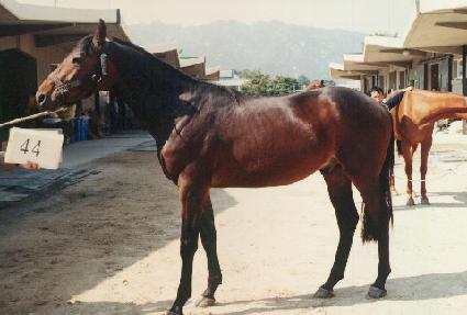 ǥ�ؽð� ����