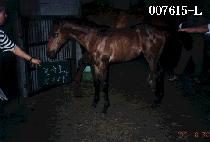 �޷��� (TALLYEORA) ����