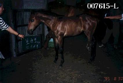 �޷��� ����