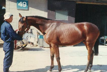 ��ο�� ����