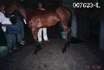 �������ڸ� ����