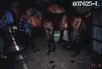 �����ڸ� ����