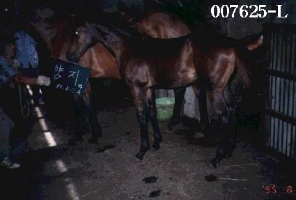 �����ڸ� ����