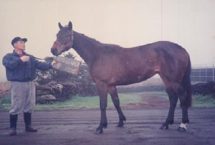 ž�� ����