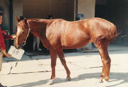 ��������� ����