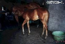 ���Ķ� (MAP��ARAM) ����