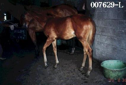 ���Ķ� ����