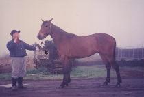 �ڿջ� (CHAWANGSAN) ����