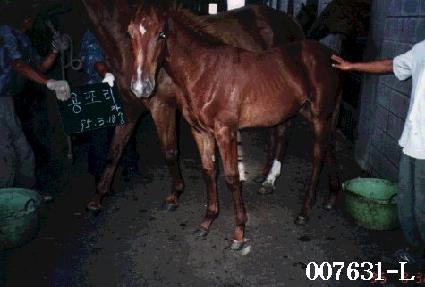 õ������ ����