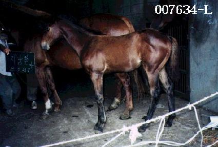 �±����� ����