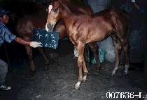 ���͵��ڸ� ����