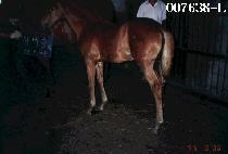 �̶��� ����