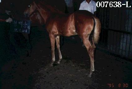 �̶��� ����