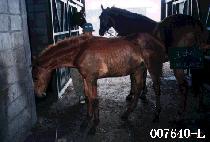 ��۴��� (KIPPEUNNURI) ����