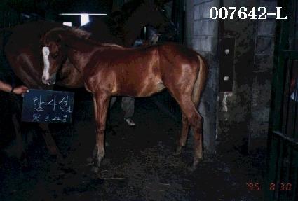 ��ź ����