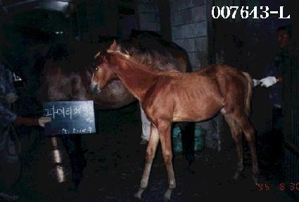 ù°�� ����