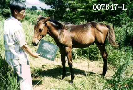 ���������ڸ� ����