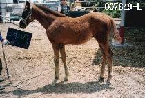 ����� (MUNJANGDAE) ����