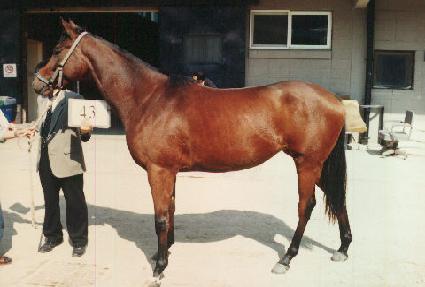 ���� ����