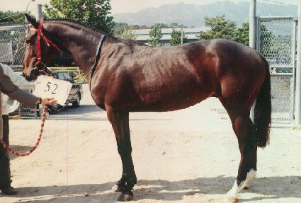 ���� ����