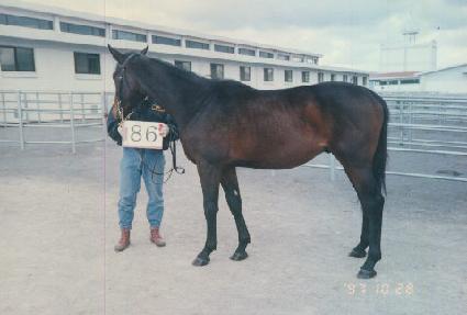 ���ӵ� ����