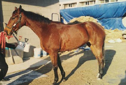 �̸��� ����