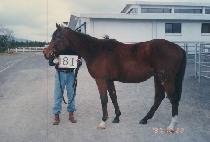 ǥ��� (P��YOCH��UNGSA) ����