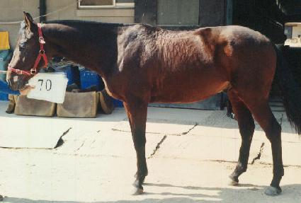 ��Ÿ�̰� ����