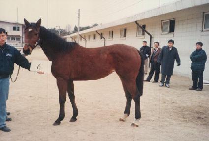 ��Ʈ�� ����