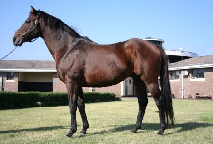 ����� ����