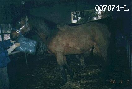 ���乮 ����