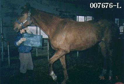 ũ���������� ����