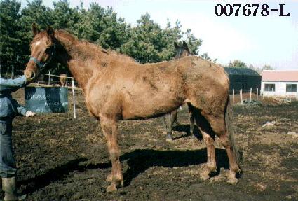 �̿�Ÿ��÷ ����