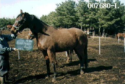 ����ҽ���Ʈ ����