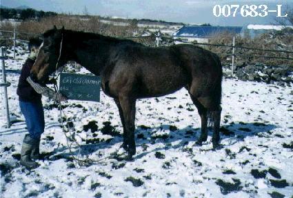 ġġí�� ����