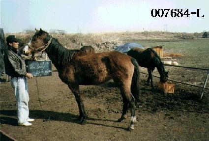 �����̵���������� ����