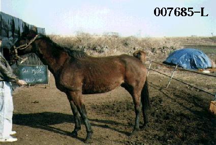 ���̽�Ƽ ����