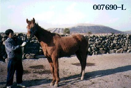 ���׽��Ǹ�Ʈ ����