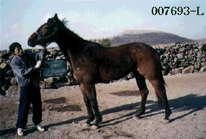 �����������ټ� ����