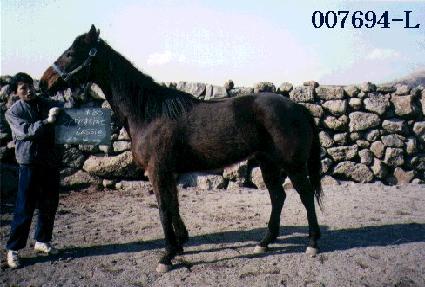 ������Ÿ�ӷ��� ����