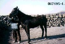 �ƿ��������� (OUT FOR A SPIN) ����