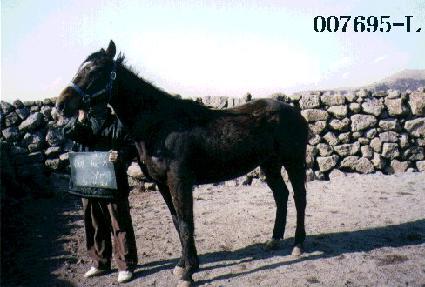 �ƿ��������� ����